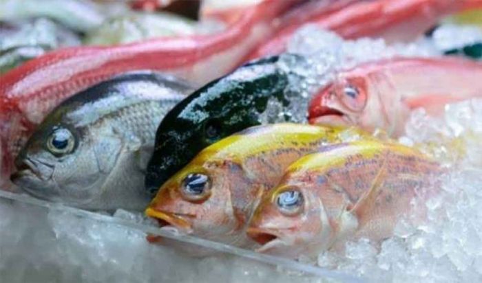 Cerdas Mengolah Ikan Jadi Cara Pengusaha di Beji Kabupaten Pasuruan Meraup Keuntungan Cerdas Mengolah Ikan Jadi Cara Pengusaha di Beji Kabupaten Pasuruan Meraup Keuntungan