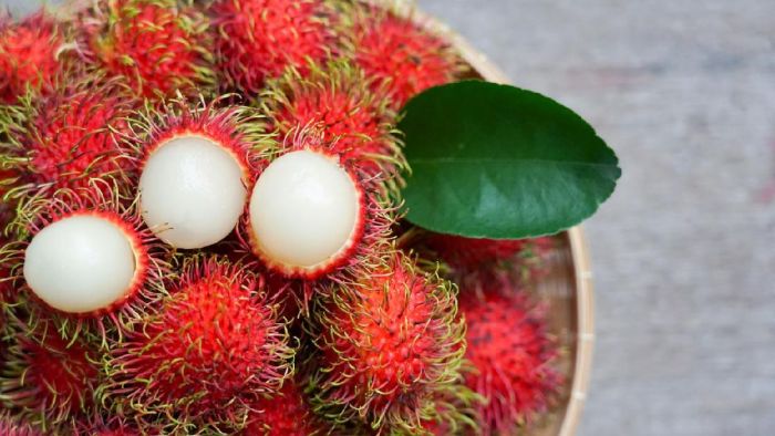 Ketahui 6 Manfaat Rambutan untuk Kesehatan Tubuh, Bantu Turunkan Kadar Gula Darah Ketahui 6 Manfaat Rambutan untuk Kesehatan Tubuh, Bantu Turunkan Kadar Gula Darah