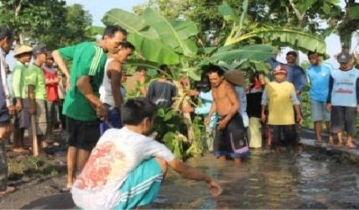 Kecewa Jalan Rusak, Warga Pugrug Nganjuk Tanam Pohon di Tengah Jalan