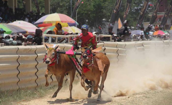 Lestarikan Budaya, Pj Bupati Bangkalan Bangga Tonton Karapan Sapi Lestarikan Budaya, Pj Bupati Bangkalan Bangga Tonton Karapan Sapi