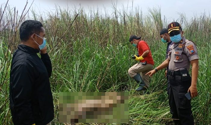 ​Tak Butuh Waktu Lama, Pembunuh Wanita Tanpa Busana di Lingkar Timur Sidoarjo Berhasil Ditangkap