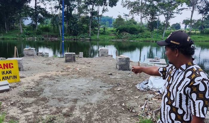 Pohon Miri di Pulau Kecil Sumber Complang Ditebang Demi Pengembangan Wisata Pohon Miri di Pulau Kecil Sumber Complang Ditebang Demi Pengembangan Wisata