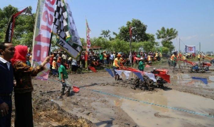 Pemkab Probolinggo Gelar Lomba Balap Hand Tractor Pemkab Probolinggo Gelar Lomba Balap Hand Tractor