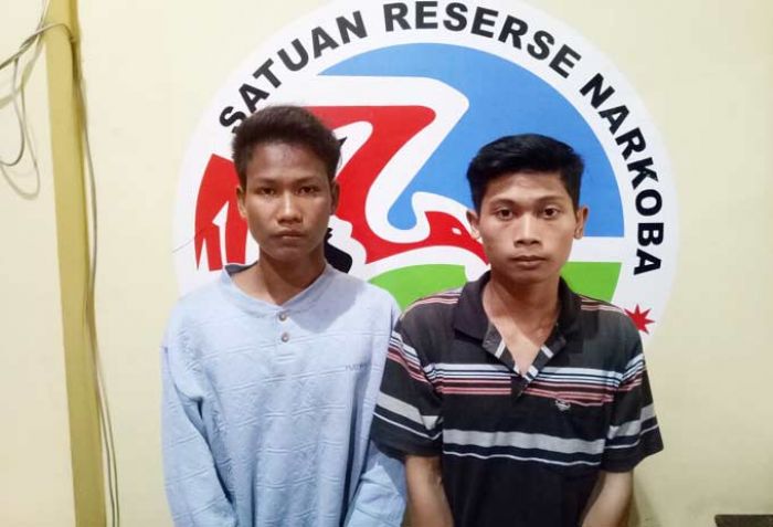 Edarkan Pil Koplo, Tiga Remaja Asal Peterongan Ditangkap Edarkan Pil Koplo, Tiga Remaja Asal Peterongan Ditangkap