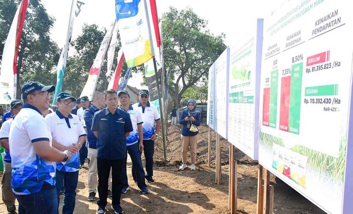 Melalui Program Makmur, Petrokimia Gresik Semakin Kontributif Menjaga Ketahahan Pangan Melalui Program Makmur, Petrokimia Gresik Semakin Kontributif Menjaga Ketahahan Pangan
