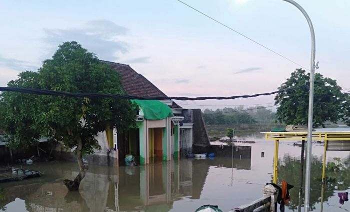 Luapan Kali Lamong di Gresik, Wilayah Kedamean Masih Terendam Air Setinggi 50 Cm Luapan Kali Lamong di Gresik, Wilayah Kedamean Masih Terendam Air Setinggi 50 Cm