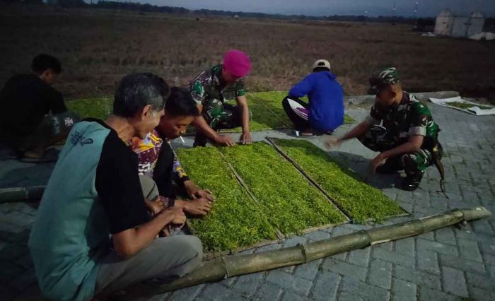 Sempat Terbengkalai, Gudang Tembakau Kini Jadi Tumpuan Petani Tuban Sempat Terbengkalai, Gudang Tembakau Kini Jadi Tumpuan Petani Tuban