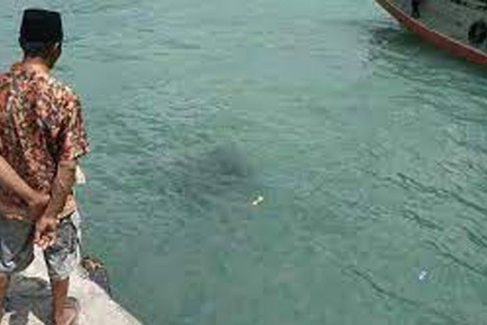 Angkut Balok ES, Pikap di Sumenep Tercebur ke Laut, Sopir Meninggal Angkut Balok ES, Pikap di Sumenep Tercebur ke Laut, Sopir Meninggal