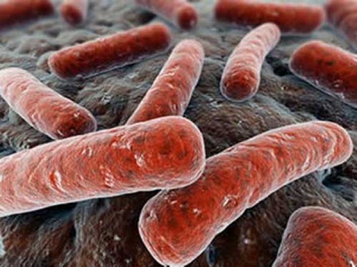 ​Waspada! Bakteri Pemakan Daging Hancurkan Tubuh dalam Beberapa Jam