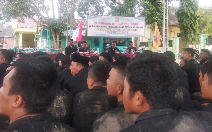 Ratusan Pendekar PSHT Tuban Ikuti Pembinaan dan Tes Kenaikan Sabuk Ratusan Pendekar PSHT Tuban Ikuti Pembinaan dan Tes Kenaikan Sabuk