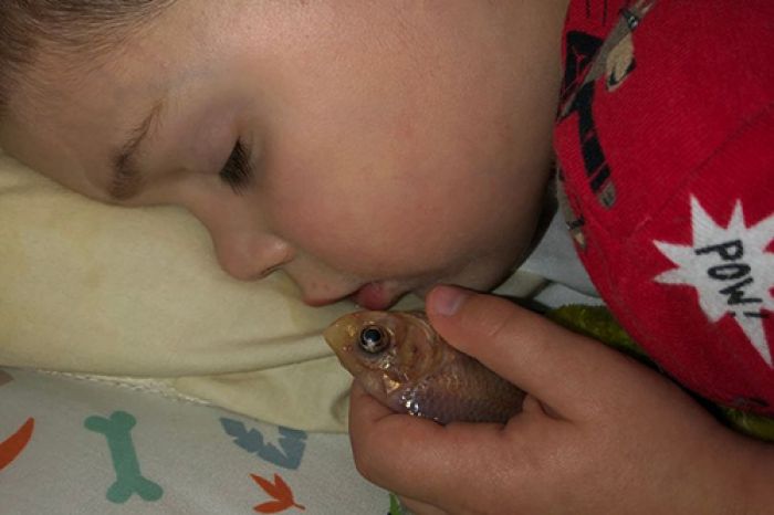 Hiks hiks hiks, Bocah Ini Keluarkan Ikan dari Akuarium lalu Dipeluk di Tempat Tidur, Ikannya Mati! Hiks hiks hiks, Bocah Ini Keluarkan Ikan dari Akuarium lalu Dipeluk di Tempat Tidur, Ikannya Mati!