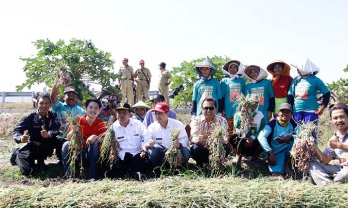 Bupati Nganjuk Hadiri Panen Raya Bawang Merah di Mojorembun