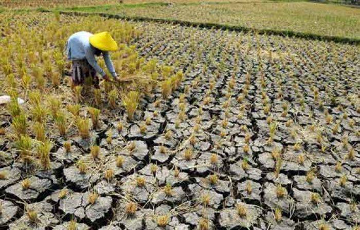 18 Desa di Blitar Rawan Kekeringan, BPBD Siapkan Air Bersih 18 Desa di Blitar Rawan Kekeringan, BPBD Siapkan Air Bersih