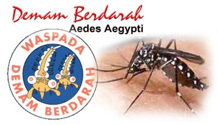 Telan Korban Jiwa, Komisi C Minta DPRD Tuban Minta Dinkes Serius Atasi DB Telan Korban Jiwa, Komisi C Minta DPRD Tuban Minta Dinkes Serius Atasi DB