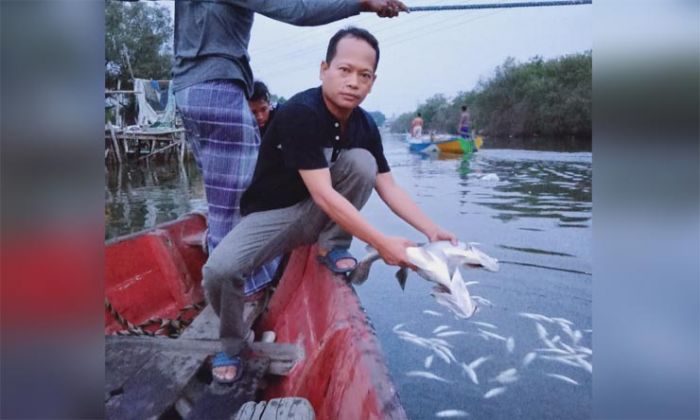Diduga Tercemar Limbah Buangan Pabrik, Ikan di Kali Lamong Mabuk