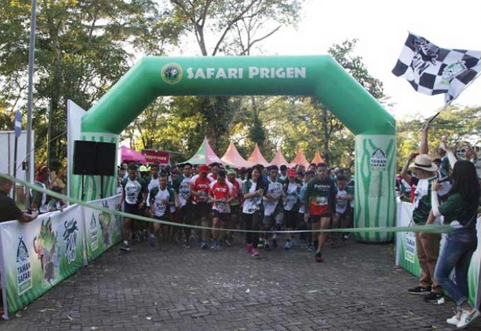 ​Safari Run TSI Prigen 2018 Digelar Keempat Kali