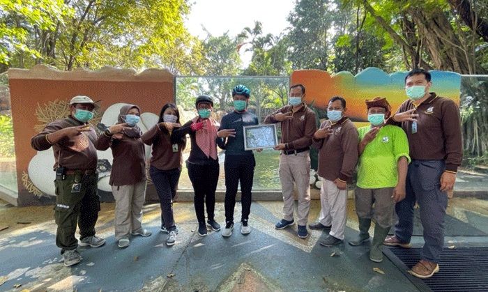 Peduli Kelestarian Satwa, Bandell Lighting Jadi Orang Tua Asuh Buaya KBS Peduli Kelestarian Satwa, Bandell Lighting Jadi Orang Tua Asuh Buaya KBS