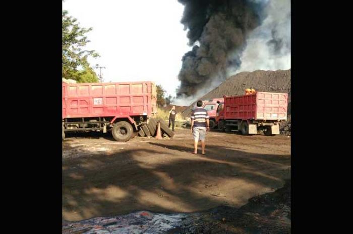 Kebakaran Gudang Batu Bara di Manyar Gresik Gegerkan Warga