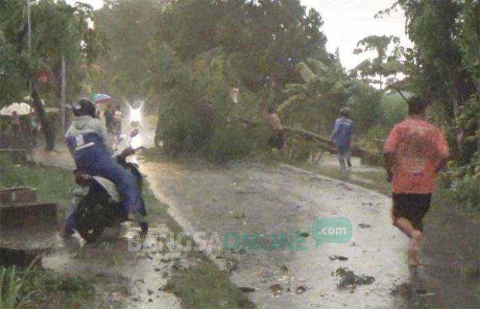 Sejumlah Wilayah di Jombang Rawan Bencana, Ini Penjelasan BPBD