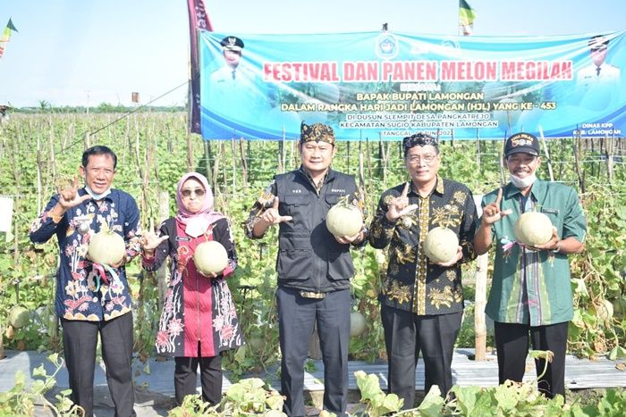 Serius Kembangkan Produk Holtikultura, Pemkab Lamongan Gelar Panen Raya Melon Megilan