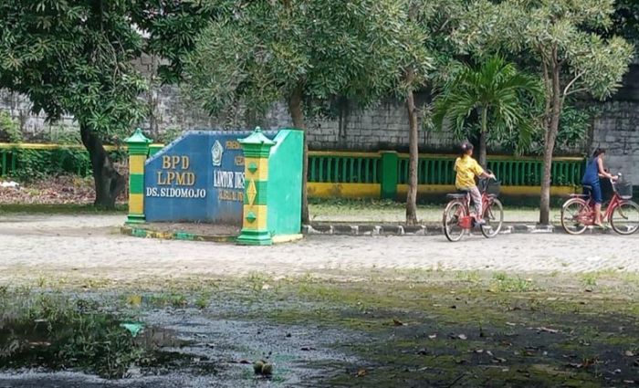 Dugaan Penyelewengan Hasil Sewa TKD Sidomojo Krian oleh Perangkat Desa, Inspektorat Sudah Turun