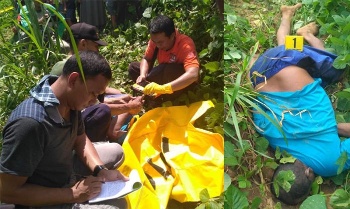Mayat Pria Ditemukan di Taman Nasional Meru Betiri dengan Luka di Kepala dan Tangan Mayat Pria Ditemukan di Taman Nasional Meru Betiri dengan Luka di Kepala dan Tangan