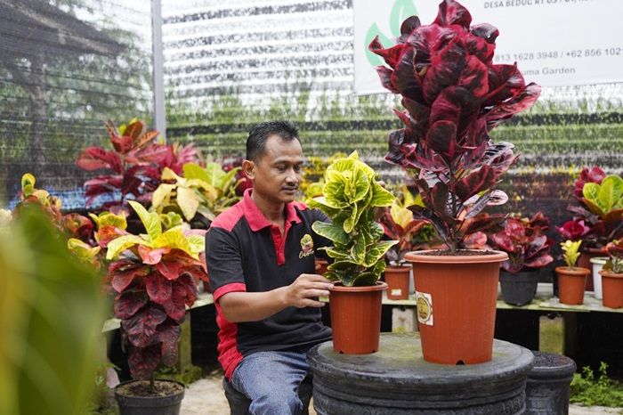 Difasilitasi Bupati Kediri, Pasar Puring Makin Berkembang hingga Mampu Saingi Varietas Thailand Difasilitasi Bupati Kediri, Pasar Puring Makin Berkembang hingga Mampu Saingi Varietas Thailand