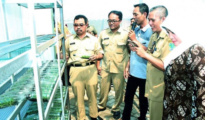 Anggrek Sadeng Menyita Perhatian Pemkab Pasuruan Anggrek Sadeng Menyita Perhatian Pemkab Pasuruan