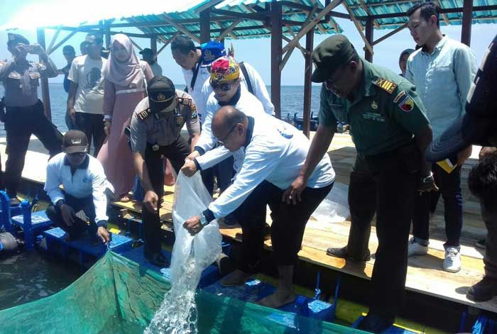 Sukses di Bidang Produk Olahan, BUMDes Desa Gelung Situbondo Kembangkan Wisata Kampung Nelayan