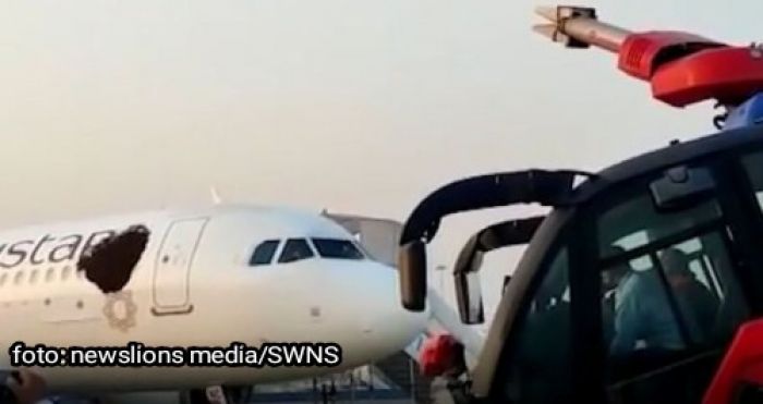 Kawanan Lebah Bersarang di Dua Pesawat, Penerbangan Ditunda