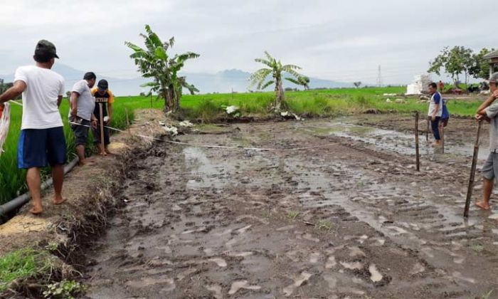 Endus Dugaan Pengembang Bodong di Kepuhanyar, Satpol PP Tak Segan Nutup Jika Tak Ada Izin Endus Dugaan Pengembang Bodong di Kepuhanyar, Satpol PP Tak Segan Nutup Jika Tak Ada Izin
