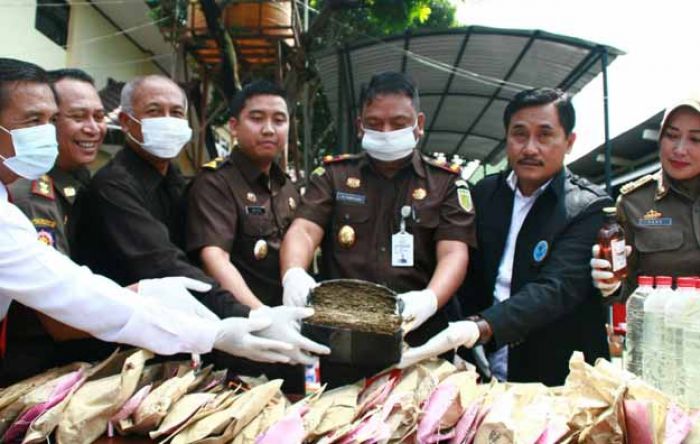 Kejari Gresik Musnahkan Barang Bukti Berupa Ribuan Narkoba dan Miras Kejari Gresik Musnahkan Barang Bukti Berupa Ribuan Narkoba dan Miras