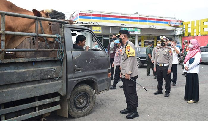 Antisipasi PMK di Kota Delta, Polresta Sidoarjo Batasi Lalu Lintas Ternak ke Luar Kota Antisipasi PMK di Kota Delta, Polresta Sidoarjo Batasi Lalu Lintas Ternak ke Luar Kota