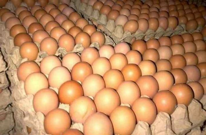 Usai Natal, Harga Telur Ayam di Pacitan Kian Naik