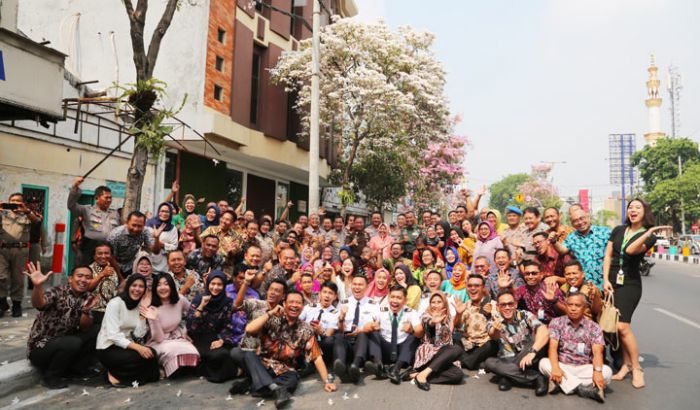Ulang Tahun, Wali Kota Risma Keliling Kota Surabaya Lihat Indahnya Tabebuya