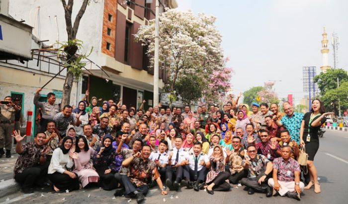 Ulang Tahun, Wali Kota Risma Keliling Kota Surabaya Lihat Indahnya Tabebuya Ulang Tahun, Wali Kota Risma Keliling Kota Surabaya Lihat Indahnya Tabebuya