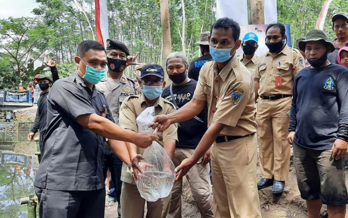 Dinas Perikanan Tebar Ratusan Ribu Benih Ikan Lokal di Sungai Rau dan Sumber Gundi