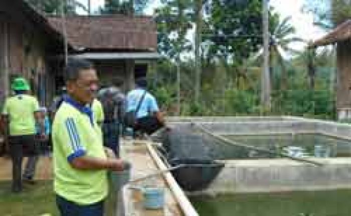 Warga Bandar Swadaya Tebar Benih Ikan Nila di Sungai 