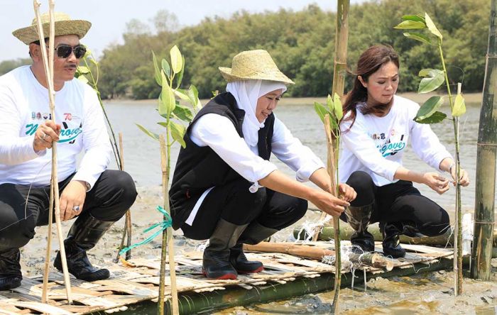 Gubernur Khofifah Ajak Masyarakat Sedekah Oksigen Lewat Gerakan Tanam Mangrove Gubernur Khofifah Ajak Masyarakat Sedekah Oksigen Lewat Gerakan Tanam Mangrove