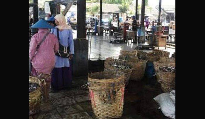 Hilangkan Bau Limbah, Dinas PU Cipta Karya Lamongan Rabat Beton Pasar Ikan Hilangkan Bau Limbah, Dinas PU Cipta Karya Lamongan Rabat Beton Pasar Ikan