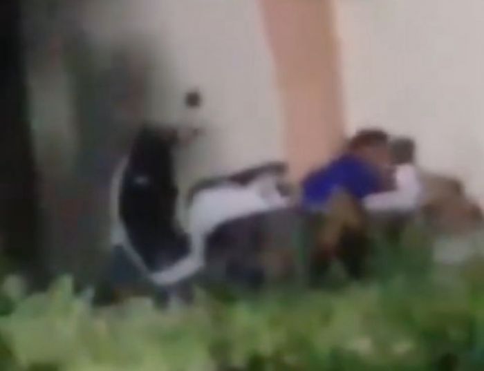 Video Pasangan Bermesraan Diduga di Alun-Alun Sidayu Viral, Polisi Turun Tangan