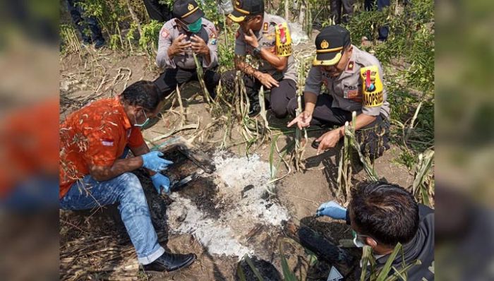 Mayat Terpanggang di Sawah Milik Warga Gunungsari, Diduga Korban Pembunuhan