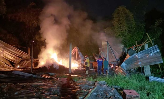 Tempat Pengolahan Kelapa di Jombang Ludes Terbakar Tempat Pengolahan Kelapa di Jombang Ludes Terbakar