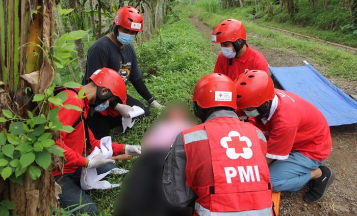 Antisipasi Bencana, PMI Bersama BPBD Jember Gelar Latihan Tanggap Darurat Tuntas