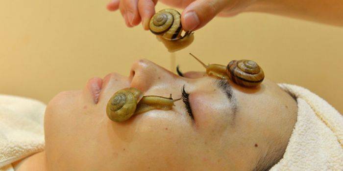 Bosan Facial Biasa? Coba Facial Gunakan Siput, Ampuh Lepas Sel Kulit Mati Bosan Facial Biasa? Coba Facial Gunakan Siput, Ampuh Lepas Sel Kulit Mati