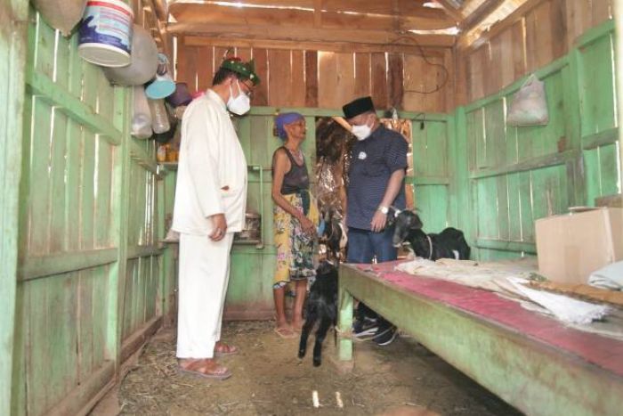 Puluhan Tahun Tidur dengan Kambing, Nenek di Situbondo Akhirnya Disambangi Bupati Puluhan Tahun Tidur dengan Kambing, Nenek di Situbondo Akhirnya Disambangi Bupati