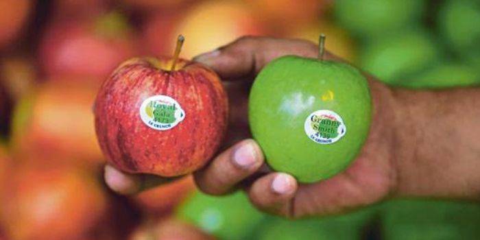 Peredaran Apel Berbakteri Berlabel Granny Smith Masuk Nganjuk Peredaran Apel Berbakteri Berlabel Granny Smith Masuk Nganjuk