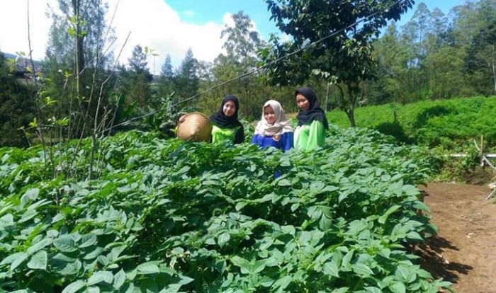 Kunjungan Wisatawan ke Kota Batu Tak Berdampak bagi Petani