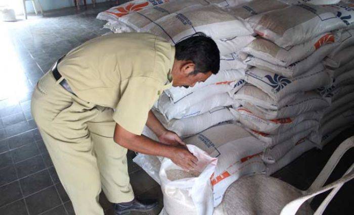 Raskin untuk Warga Desa Sukorejo Berbau dan Berkutu Raskin untuk Warga Desa Sukorejo Berbau dan Berkutu