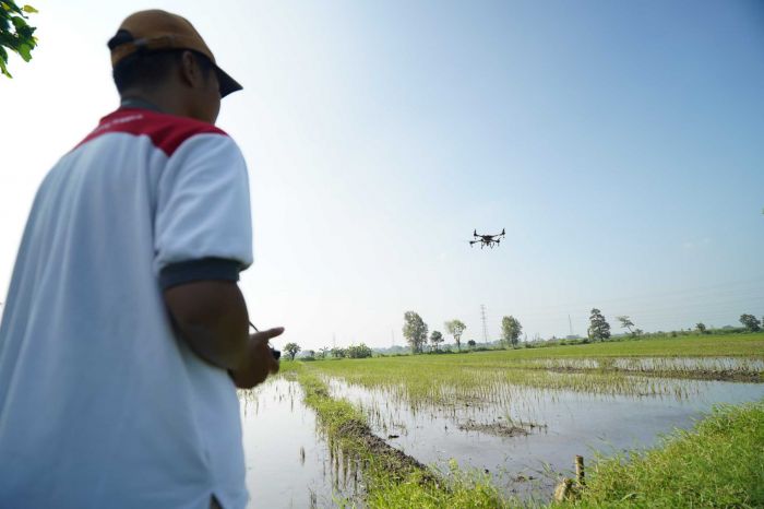 Gerak Cepat Pemkab Kediri Tanggapi Aduan Lahan Padi yang Terendam Banjir di Merjoyo Purwoasri Gerak Cepat Pemkab Kediri Tanggapi Aduan Lahan Padi yang Terendam Banjir di Merjoyo Purwoasri